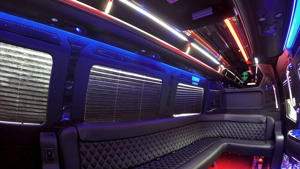 10 Passenger Sprinter Limo Bus Service